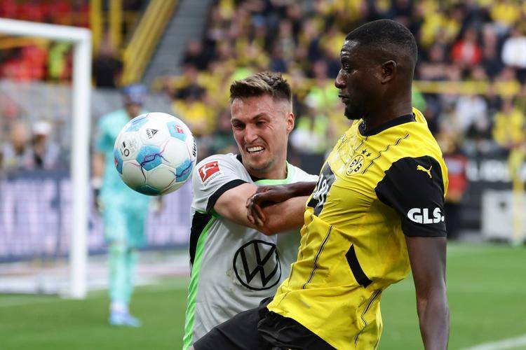 开云体育官方网站-沃尔夫斯堡客场落败，遭到汉堡施压欲止连败的简单介绍