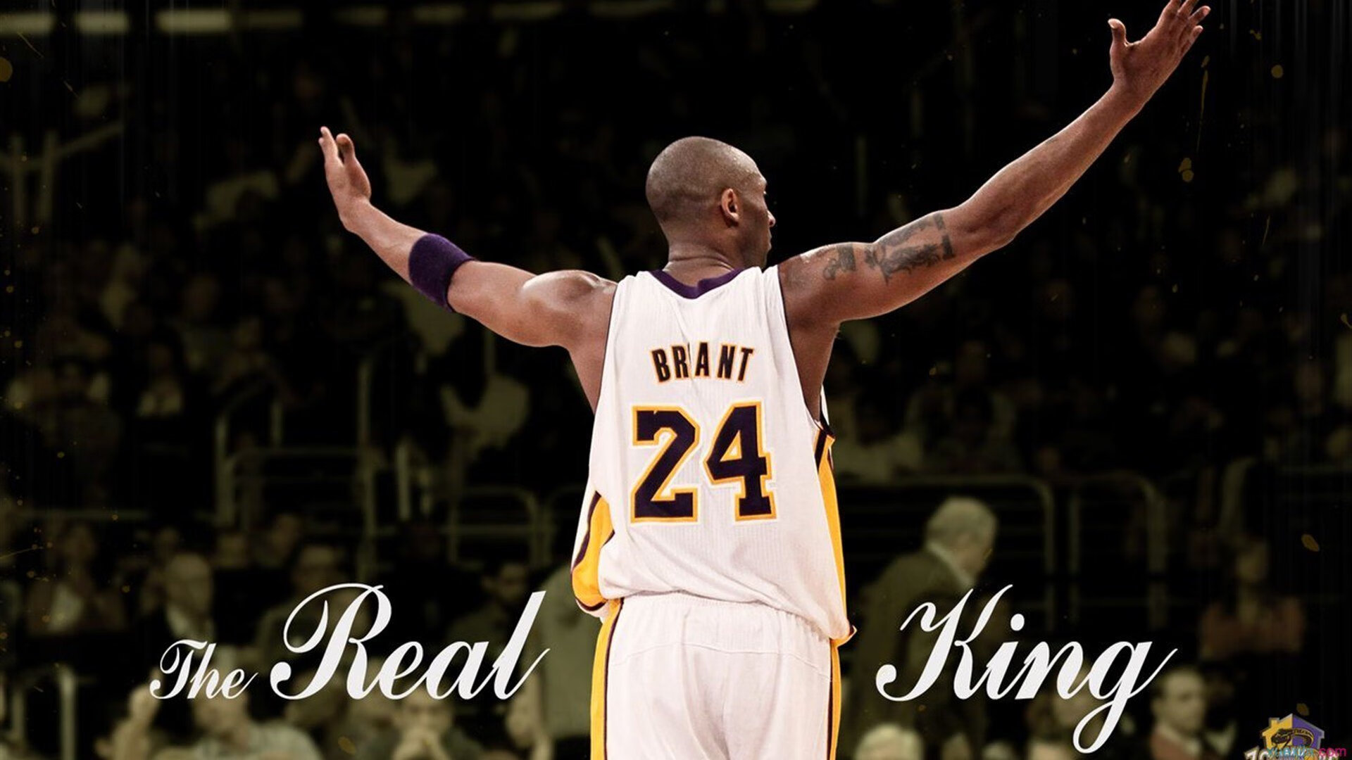 开云APP-武切维奇无解之谜，广东队以连续得分狂潮压制吉林队